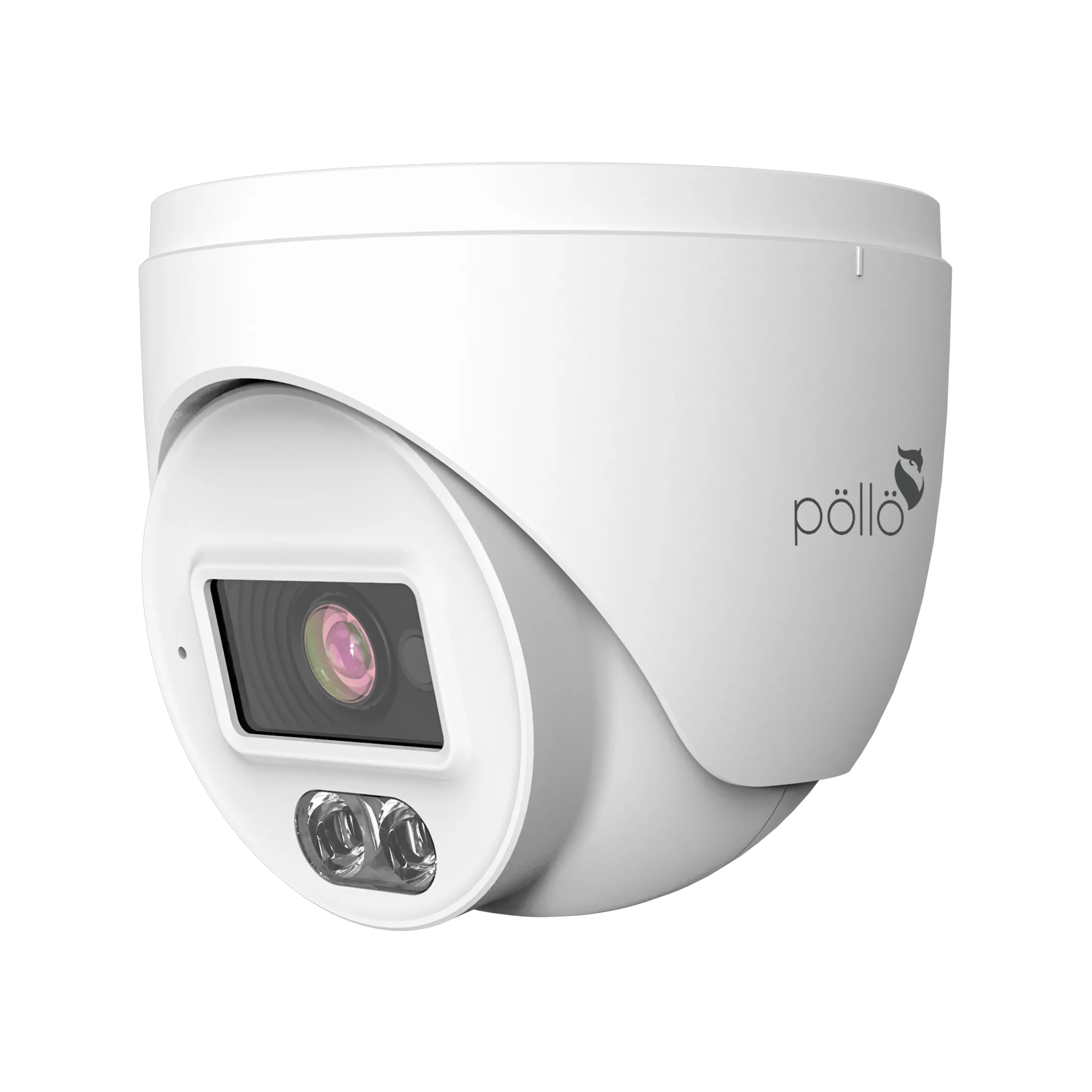 2 Megapixel Dual-Light FHD Dome Camera