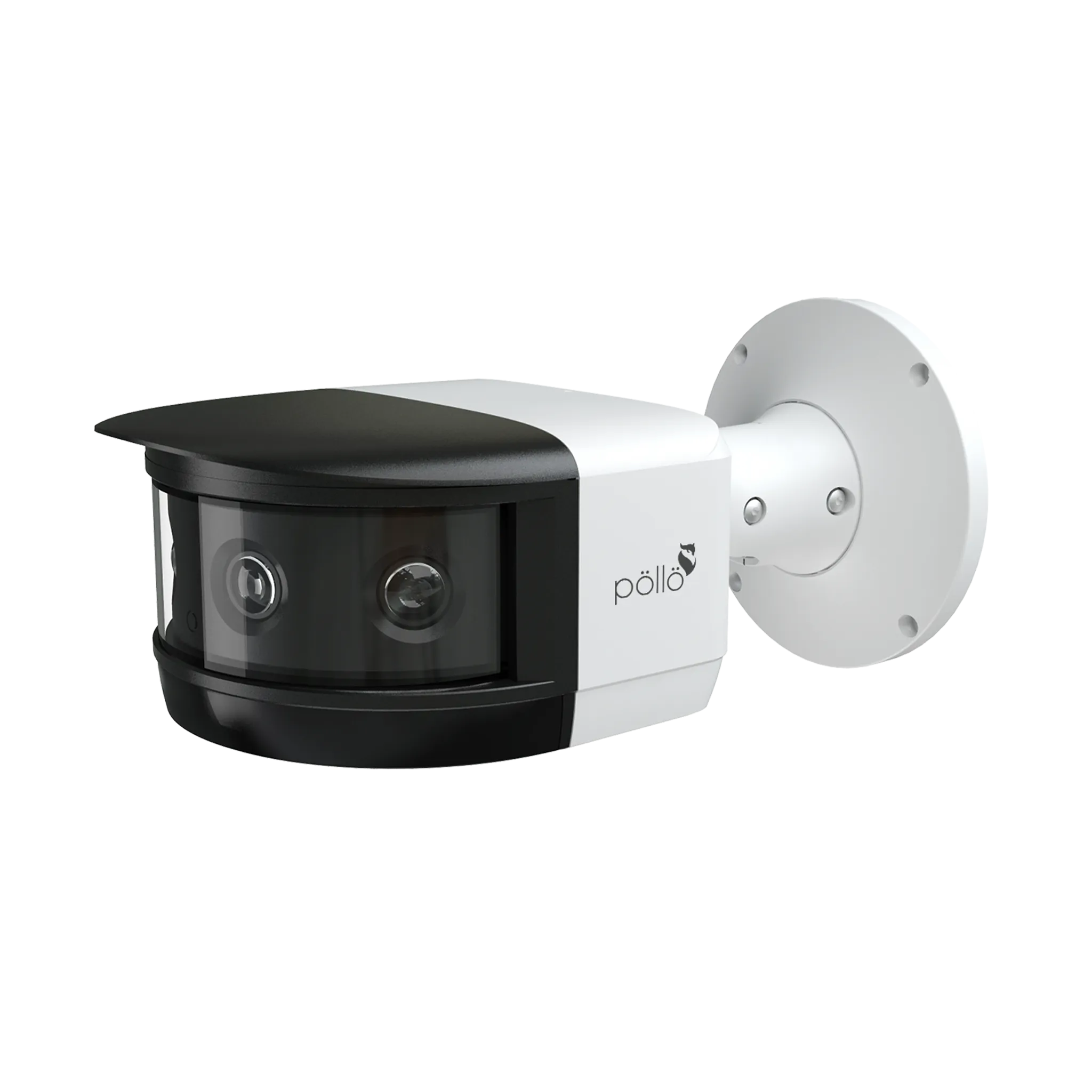 16 Megapixel 180° Panoramic Network Camera