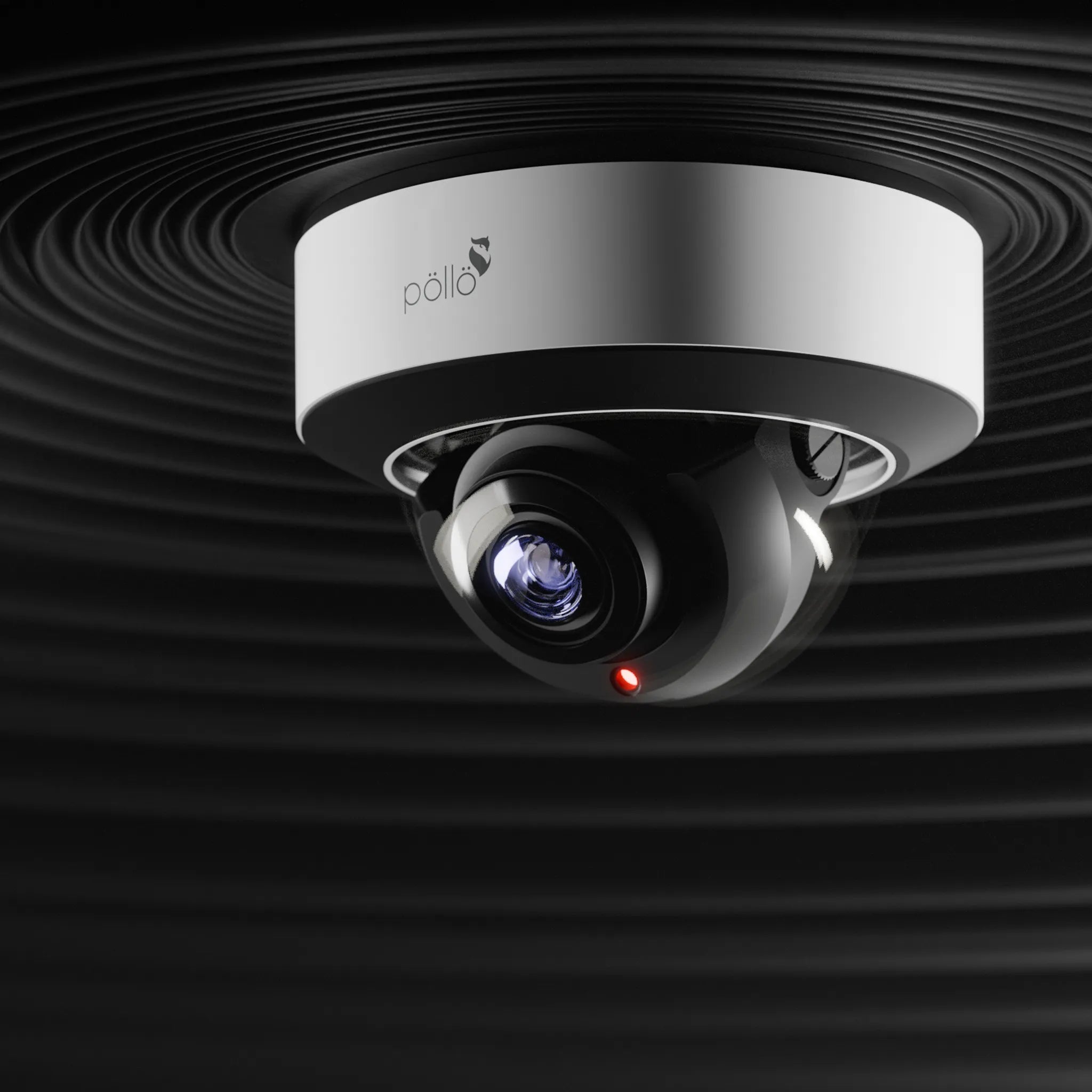 8 Megapixel Network Vandal Proof Dome Motorized Camera