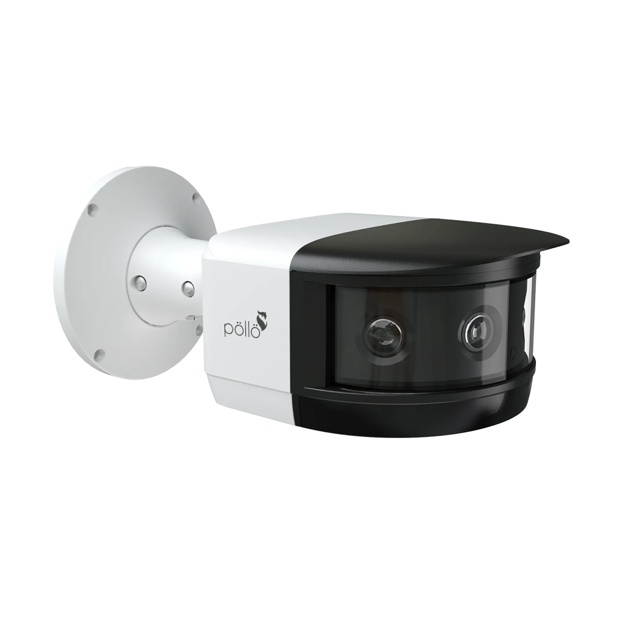16 Megapixel 180° Panoramic Network Camera