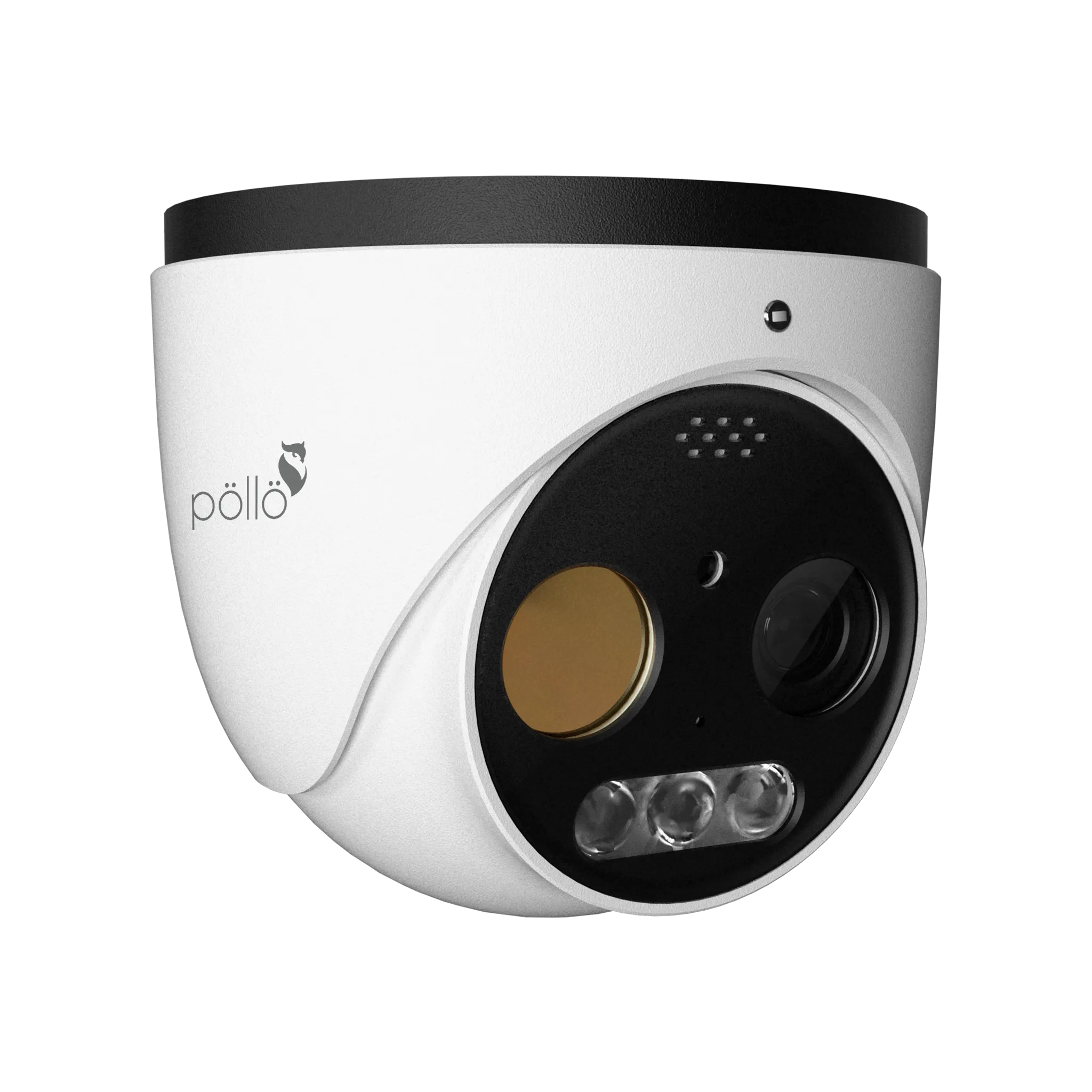 5 Megapixel Thermal Vision Network Dome Camera