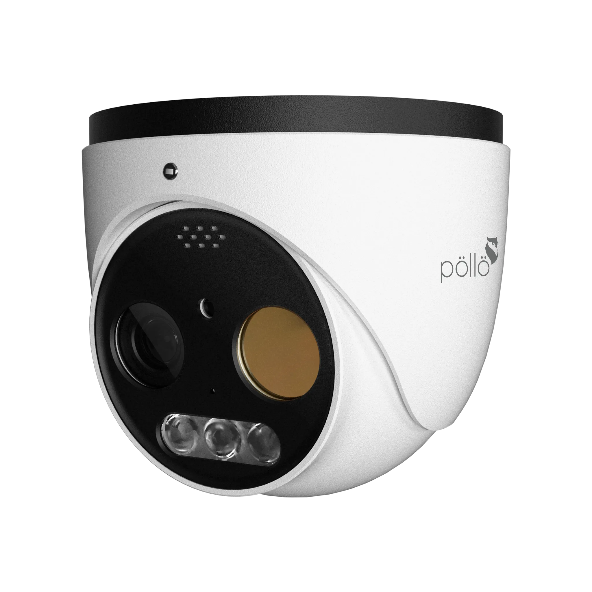 5 Megapixel Thermal Vision Network Dome Camera