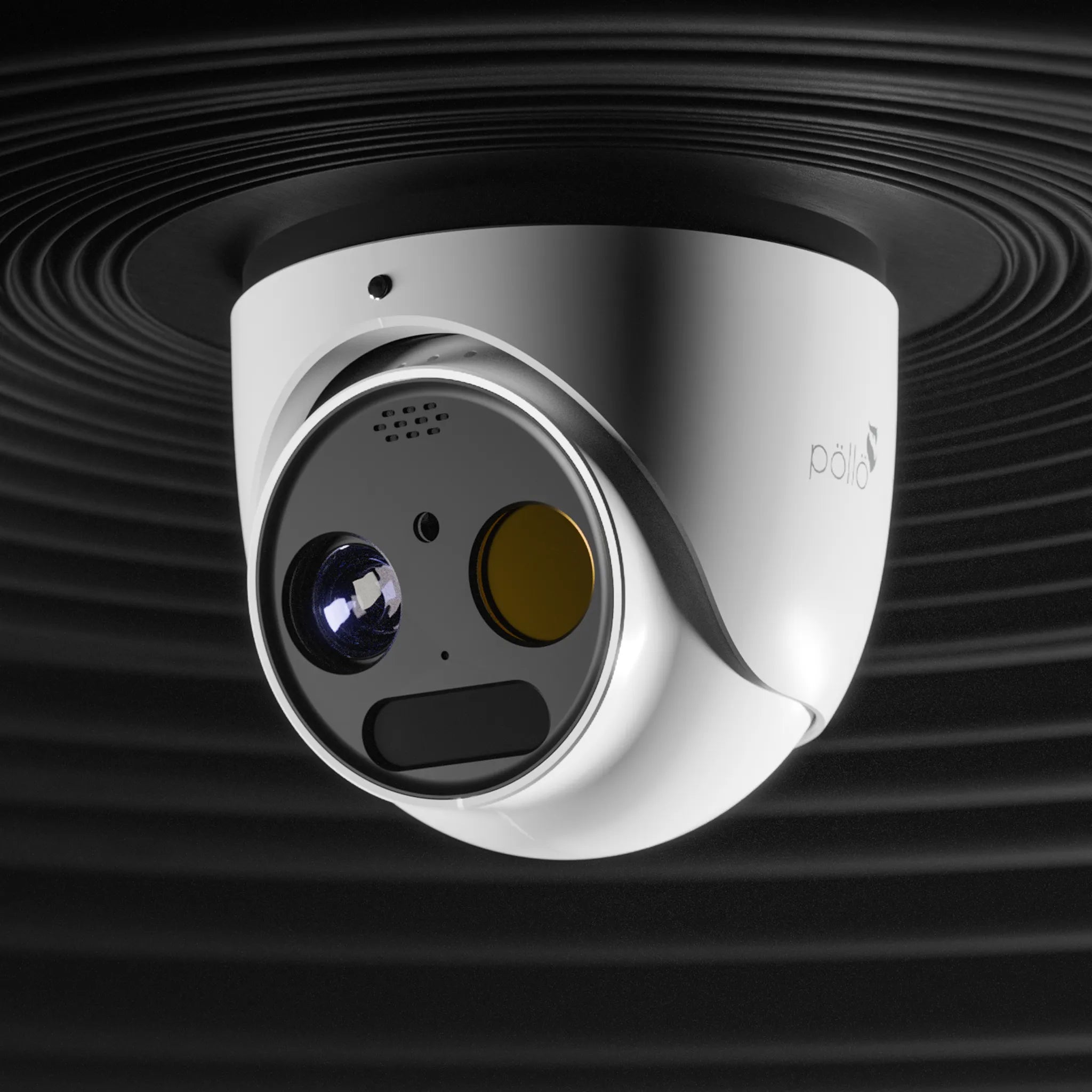 5 Megapixel Thermal Vision Network Dome Camera